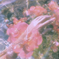 1Nonly - Sorry, I Like You загрузить