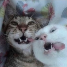 5Mewmet - Покажи Мне Свои :Т Ft Dj Trippie Flameboy загрузить