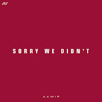 Aamir - Sorry We Didn't загрузить