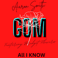 Aaron Smith - All I Know (Radio Mix) (Feat. Bridget Flowers) загрузить
