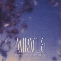 Adriatique - Miracle - Rüfüs Du Sol Remix Ft Whomadewho & Rüfüs Du Sol загрузить