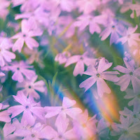 Ak - Peace Of Mind Ft Liam Thomas загрузить