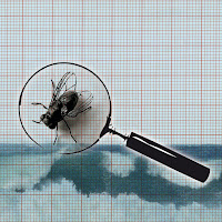 Alan Fillip - Forensic Finding загрузить