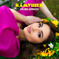 Альбина Царикаева - Камушек загрузить