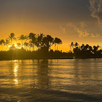 Alex Pauls - Gypsy How I Love You загрузить