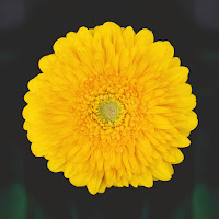 Alexjazz - Сірники загрузить