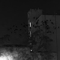 Alone In My Room - Rain Man загрузить