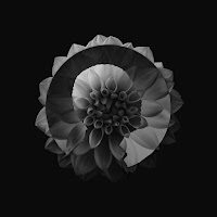 Amanati - Solo загрузить