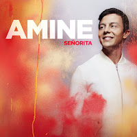Amine - Señorita загрузить