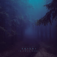 Antent - In Your Arms загрузить