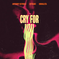Anthony Keyrouz - Cry For You Ft Offrami & Mougleta загрузить