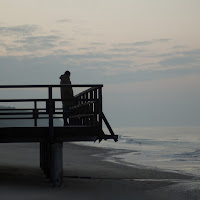 Arne - Inny Kurs Ft Czarli & Ramzes загрузить