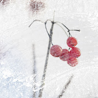 Артем Лоик - Калина загрузить