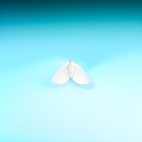 Asenssia - Мотылёк Ft Broosnica загрузить