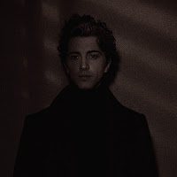 Austin Giorgio - Tennessee Whiskey загрузить