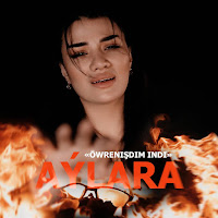 Обложка песни 