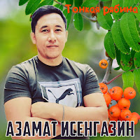 Азамат Исенгазин - Я Жду Тебя загрузить