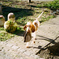 Bakermat - Good Feeling (Feat. Rhys Lewis) загрузить