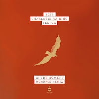 Bcee - In The Moment (Monrroe Remix) Ft Charlotte Haining & Tempza загрузить
