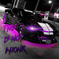 Bgnzinho - This Is Not Phonk загрузить