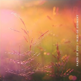 Bird Of Figment - Settled (Feat. Cody Francis) загрузить