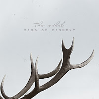 Bird Of Figment - Into The Night загрузить