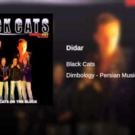 Black Cats - Didar (Feat. Sami Beigi) mp3 скачать