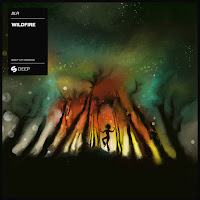 Blr - Wildfire (Festival Mix) загрузить