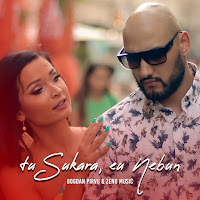 Bogdan Pirvu - Tu Sukara, Eu Nebun Ft Zeno Music загрузить