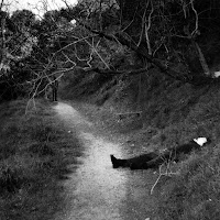 Bones - Everykissbeginswithkay Ft Greaf загрузить