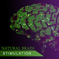 Brain Power Academy - Good Attitude Before Exam: Piano And Flute Music загрузить