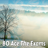 Brain Study Music Guys - White Noise Flood загрузить