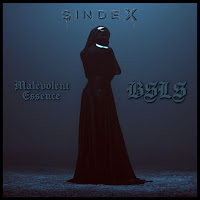 Bsls - I Do Not Wish To Be Horny Again загрузить