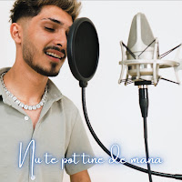 Bubu Pustanu - Nu Te Pot Tine De Mana Ft Tanu Music загрузить