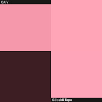 Caiv - Göbekli Tepe Ft Camille Altay & Israel Vines загрузить