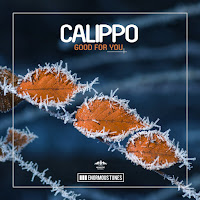 Calippo - Good For You загрузить