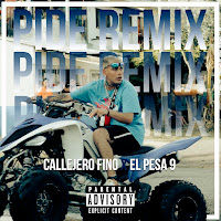 Callejero Fino - Pide (Remix) Ft El Pesa 9 загрузить