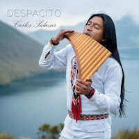 Carlos Salazar - Despacito загрузить