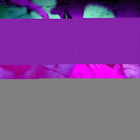 Chashkakefira - Just Surrender! загрузить