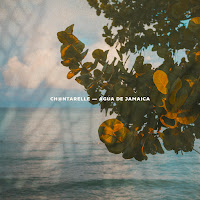Ch@Ntarelle - Agua De Jamaica загрузить