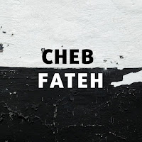 Cheb Fateh - Nesetahel Ana Dert Nia загрузить