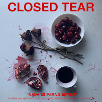 Closed Tear - Waste Away загрузить