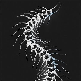 Cloudyfield - Crawl загрузить