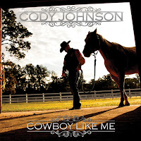 Cody Johnson - Cowboy Like Me загрузить