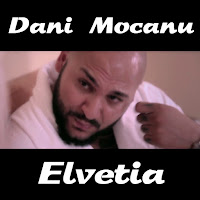 Dani Mocanu - Elvetia загрузить