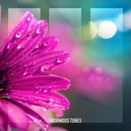 Daniel Portman - Cosmopolitan загрузить