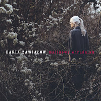 Daria Zawiałow - Malinowy Chruśniak загрузить