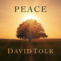 David Tolk - Peace загрузить