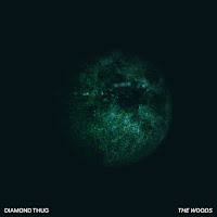 Diamond Thug - The Woods загрузить