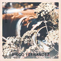 Diego Fernandez - Indian Glass загрузить